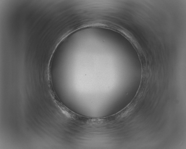 X0000073840858200609071539