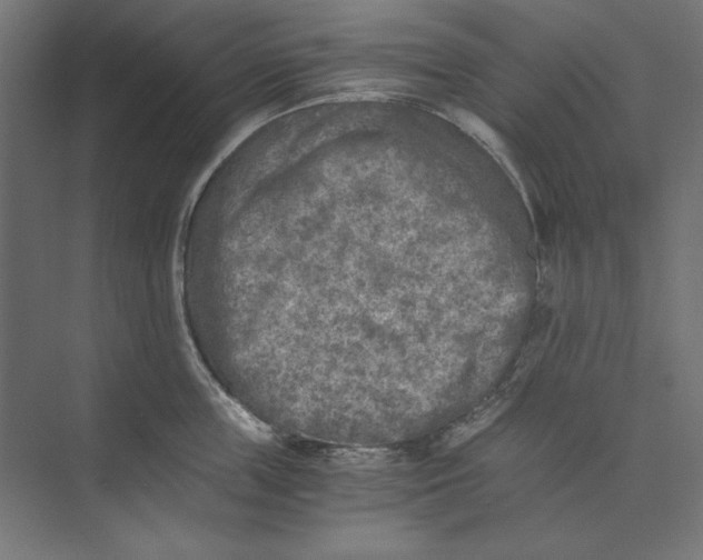 X0000073840859200609071539