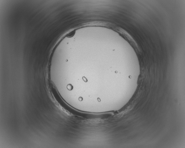 X0000073840860200609071539