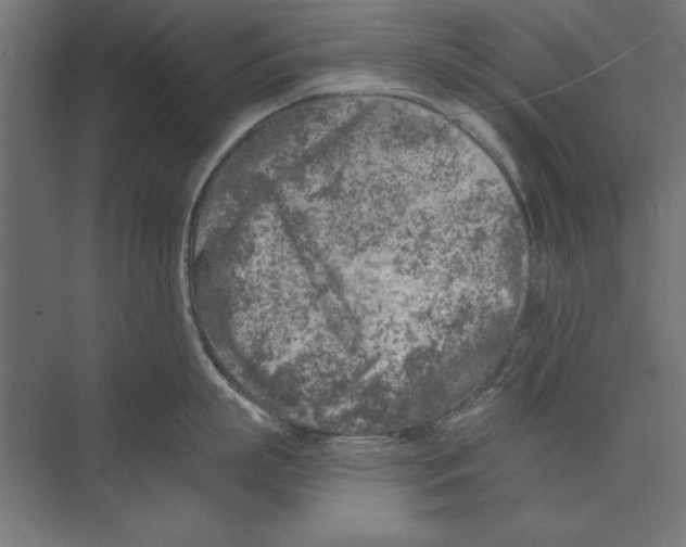 X0000073840863200609071539