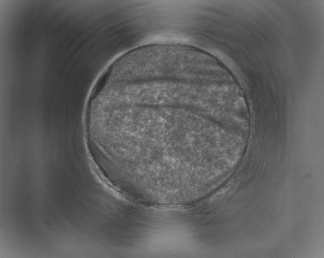 X0000073840864200609071539