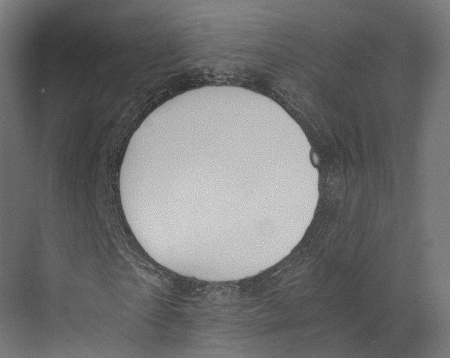 X0000073840865200609071538