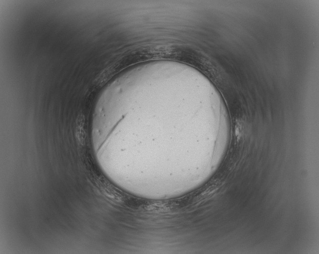 X0000073840867200609071538