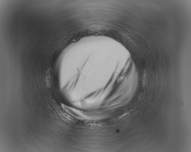 X0000073840868200609071538