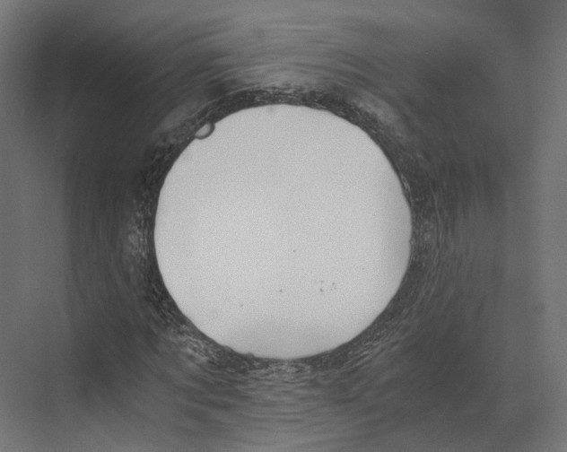 X0000073840869200609071538