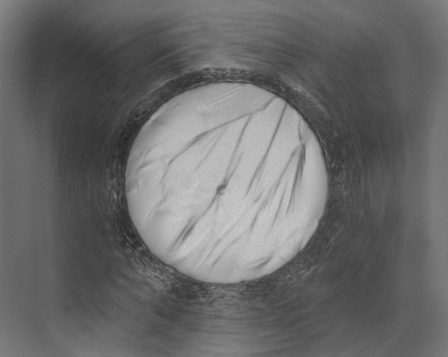 X0000073840870200609071538