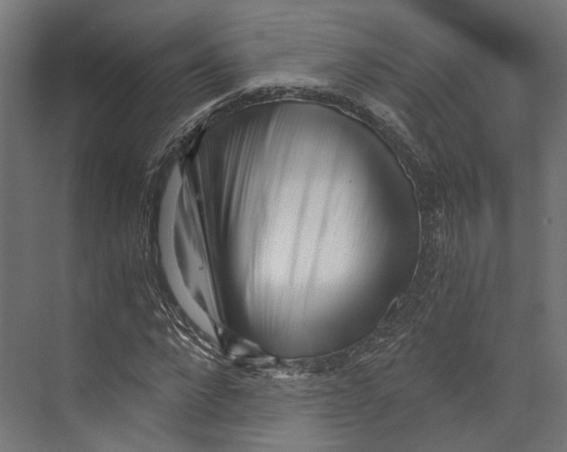 X0000073840872200609071538