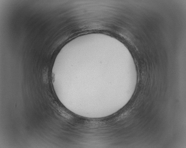 X0000073840873200609071538