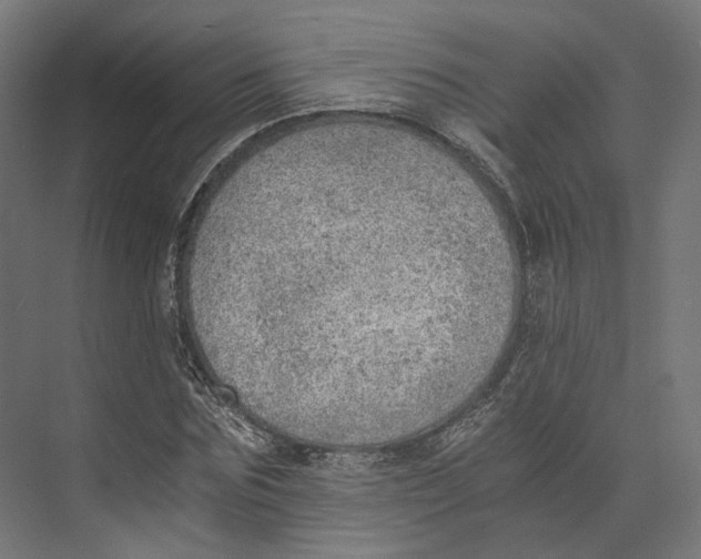 X0000073840875200609071538