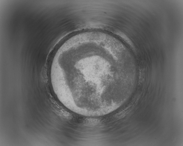 X0000073840878200609071538