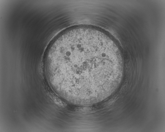 X0000073840879200609071538