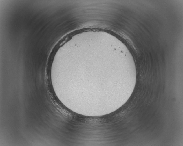 X0000073840880200609071538