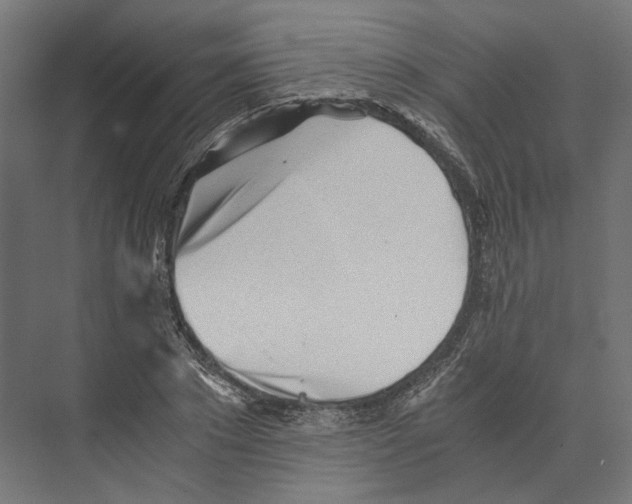 X0000073840881200609071538