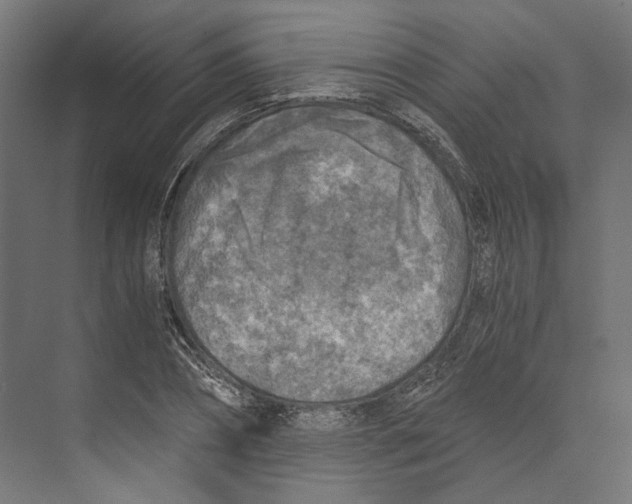 X0000073840882200609071538