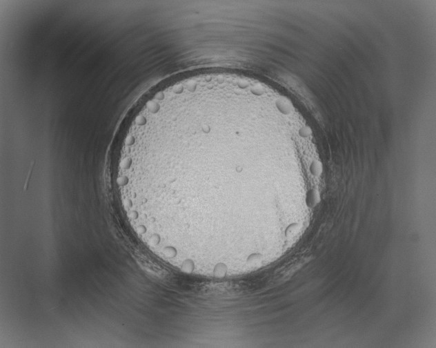 X0000073840883200609071538