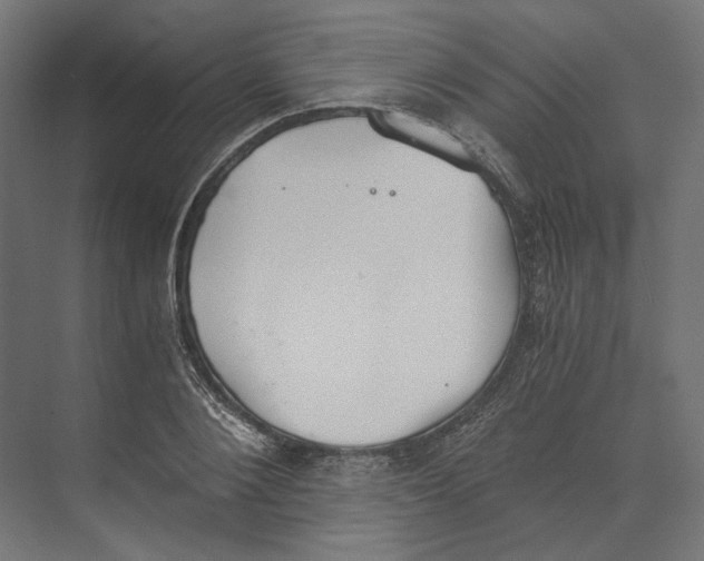 X0000073840884200609071538