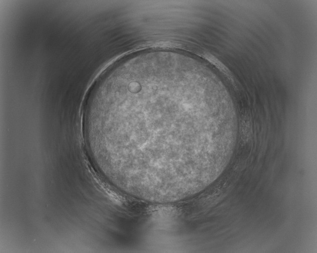 X0000073840886200609071538