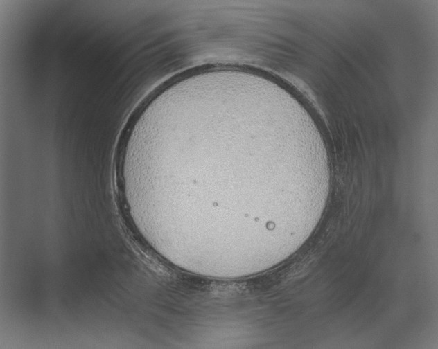 X0000073840887200609071538