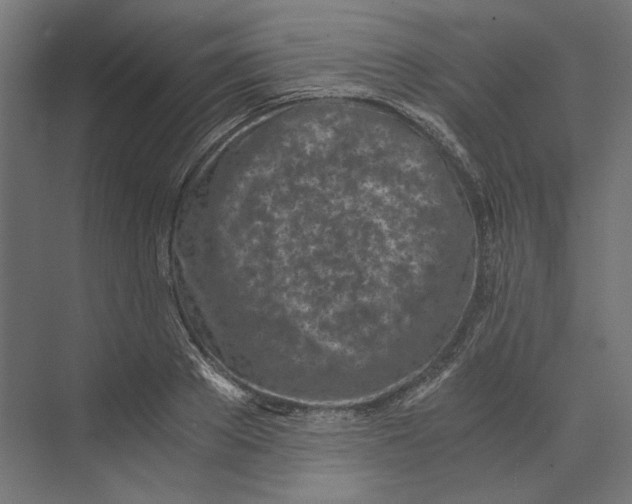 X0000073840889200609071538