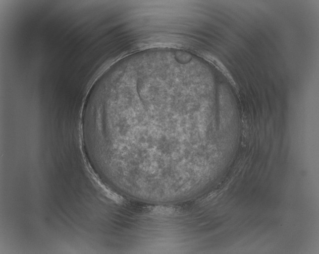 X0000073840890200609071538