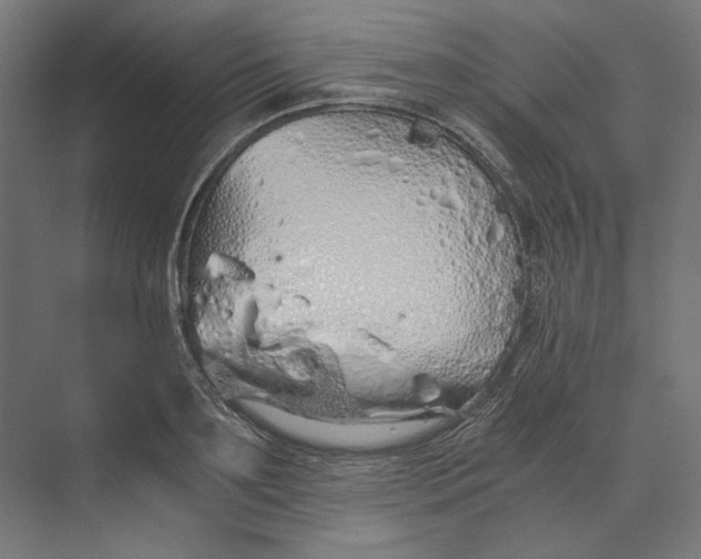 X0000073840891200609071538