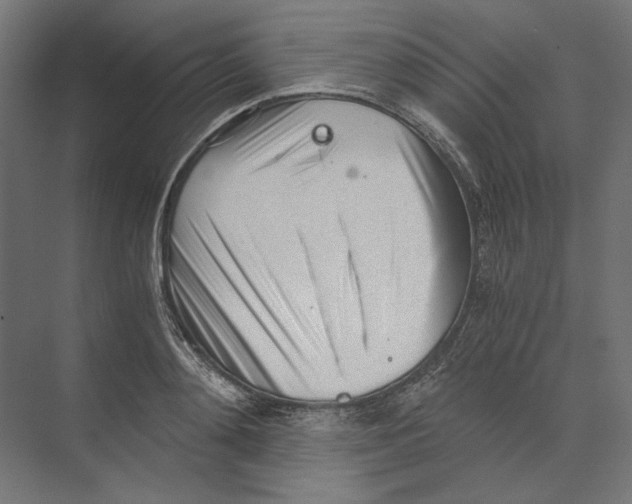 X0000073840892200609071538