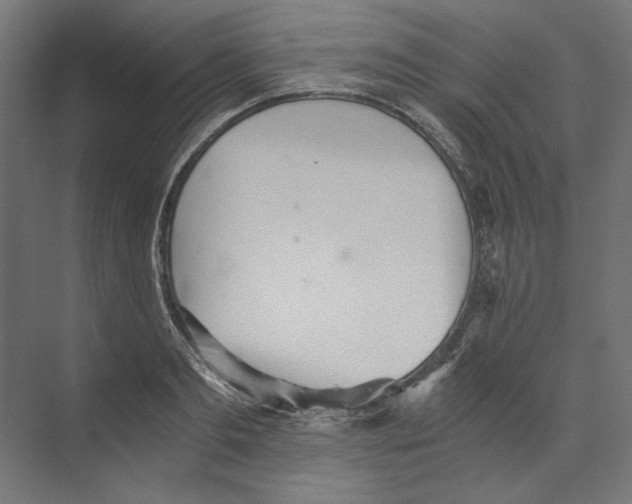 X0000073840893200609071538