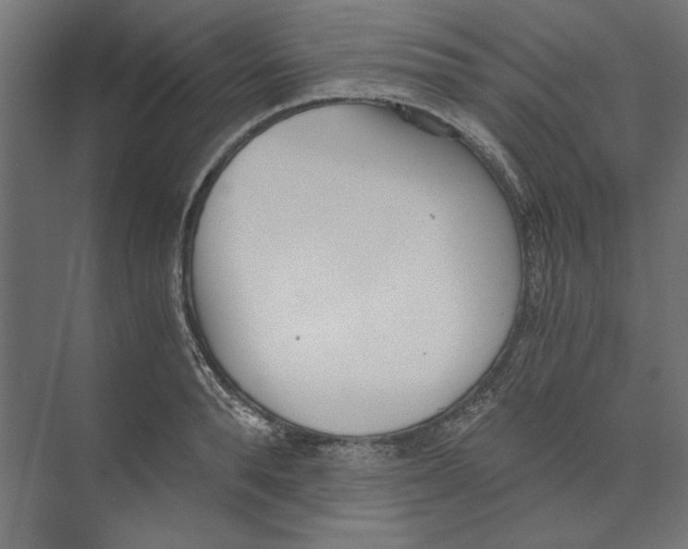 X0000073840896200609071538