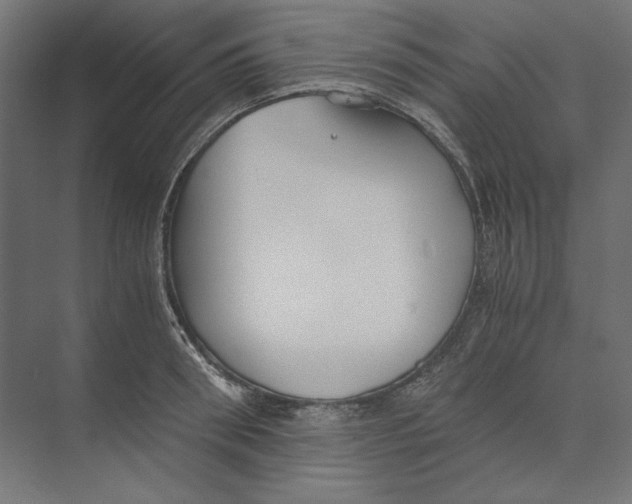 X0000073840898200609071538