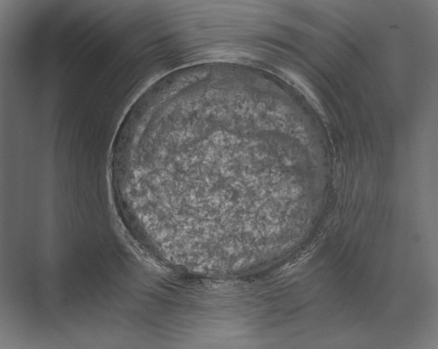 X0000073840899200609071538