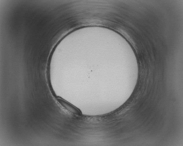 X0000073840901200609071538