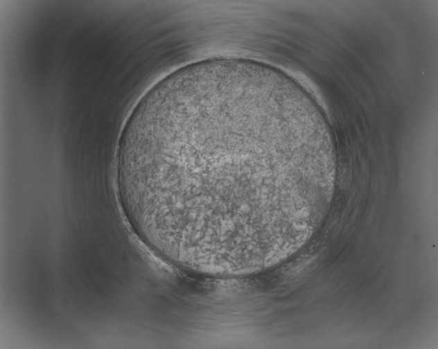 X0000073840903200609071538