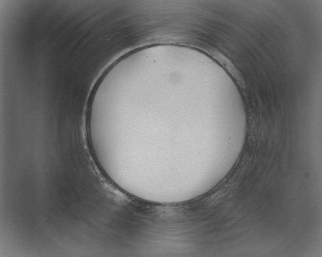 X0000073840904200609071538