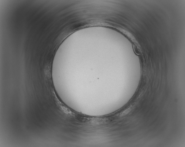 X0000073840905200609071538