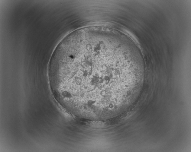 X0000073840907200609071538