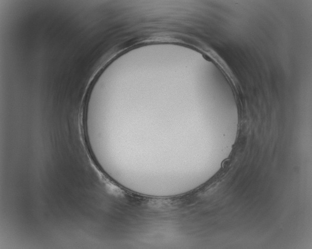 X0000073840909200609071538