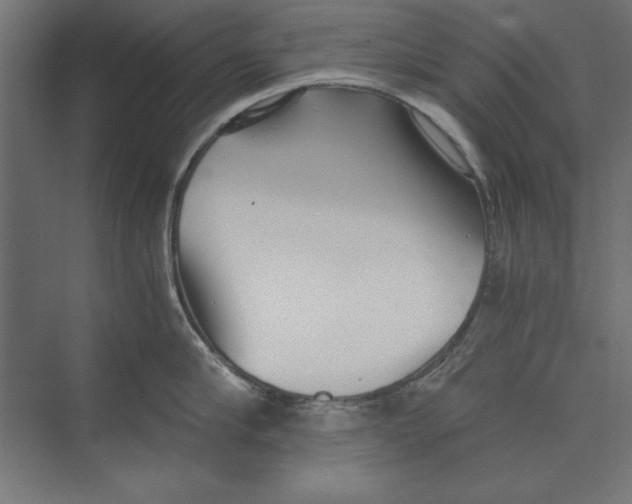 X0000073840910200609071538