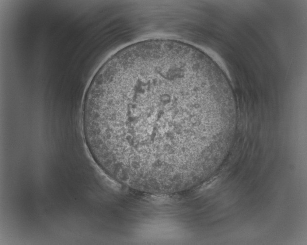 X0000073840911200609071538