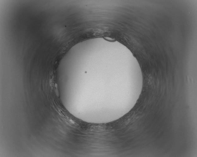 X0000073840914200609071537