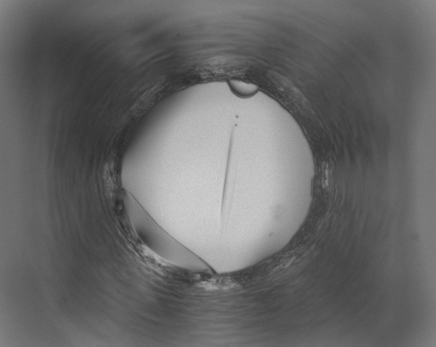 X0000073840915200609071537