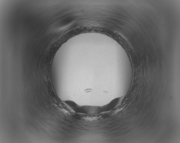 X0000073840919200609071537