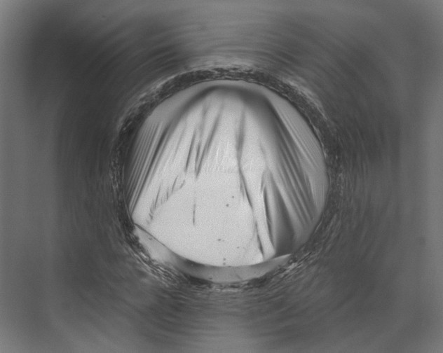 X0000073840920200609071537