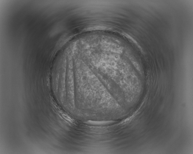 X0000073840921200609071537