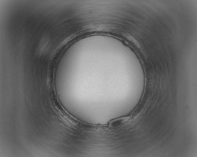 X0000073840922200609071537