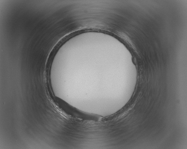 X0000073840924200609071537