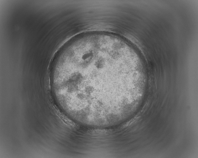 X0000073840925200609071537