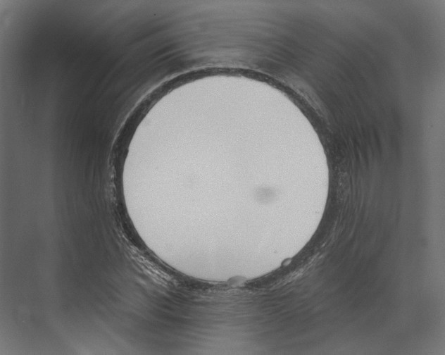 X0000073840926200609071537