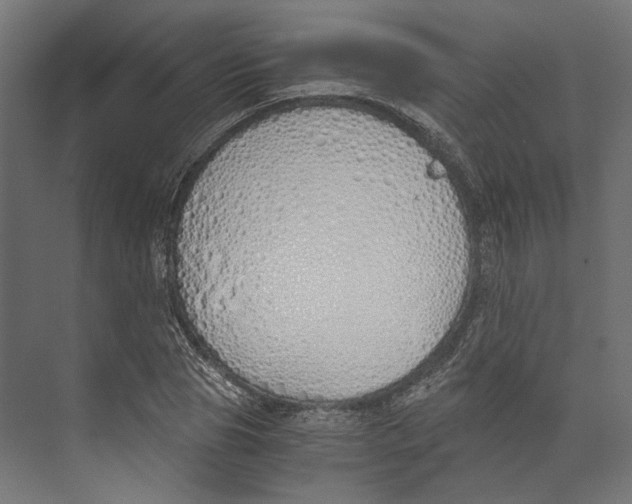 X0000073840929200609071537