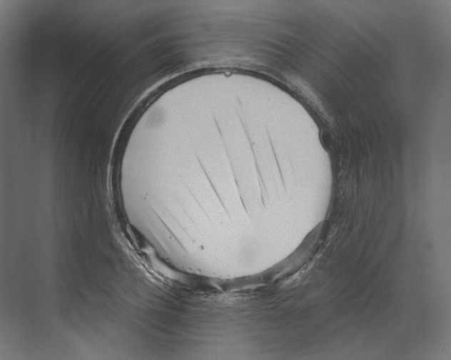 X0000073840932200609071537