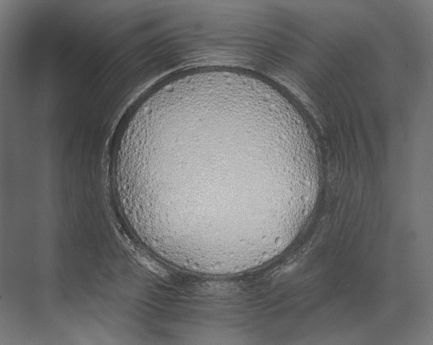 X0000073840933200609071537